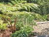 Zenith Bushland  2