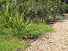 Zenith Bushland  3