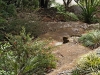 Zenith Bushland 5