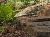Zenith Bushland 6