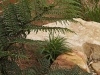 Zenith Bushland 7