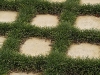 Zenith Courtyards 3
