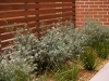 Zenith Courtyards 5