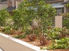 Zenith Multi Housing 3
