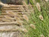 Zenith Texture  And Colour 11