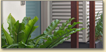 Zenith Landscape Designs