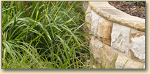 Zenith Landscape Designs